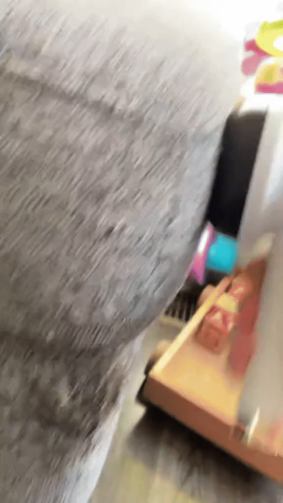 GIF